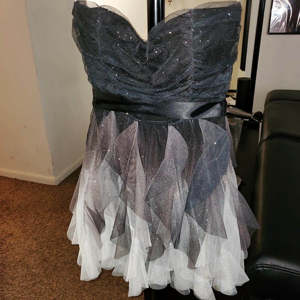 Glitter Dress